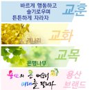 용산초등학교 이미지