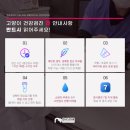 다솜고양이메디컬센터 이미지