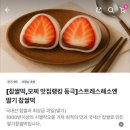경희떡집 | 경희떡집 과일찹쌀떡 ,딸기모찌 후기 !