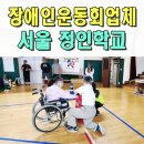 서울정인학교 | 장애인학교운동회 정인학교 체육대회 전문 이벤트업체 서울 인천