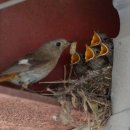 동물왕국 이미지