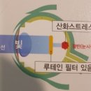 아이헬스케어(Eye Health Care) 이미지