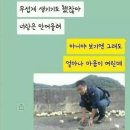 마동석 카톡프사를 본 엄마 반응 이미지