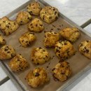 영산포여자중학교 이미지