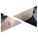 불꽃교회 | [판교주차] 주차지옥 판교..ㅜㅜ 불꽃교회 주차 등록 선착순 접수 후기😂