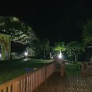 나무집 펜션 이미지