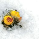 동해분교 이미지