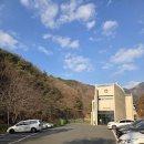 반값애견 | 김해 근교 부산 애견 동반 카페 카프리초 애견운동장 후기