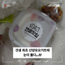 견생맛집 | 견생맛집 견생 최초 강아지수제요거트 급여 후기