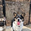 더 빛나개 이미지