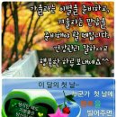 이미지까페 Daum카페