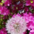 긍휼의집 이미지