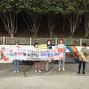 완도중앙초등학교 이미지