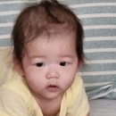 카페셔니