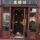 호랑이광장 이미지