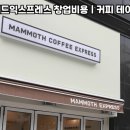 매머드익스프레스현대