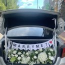 스테이서곡 이미지