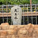 축복의통로공인중개사사무소 | 5명의 지인들과 함께한 지리산 산행후기