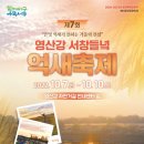 영산강서창들녘억새길 이미지