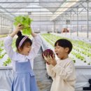 선현농장 이미지