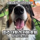 젤리베어 홀리데이 이미지