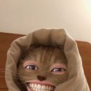 행복하면돼지 - 종로구 지봉로5길 10 | 행복하면돼지