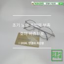 호야, 내아이 | 30대 후반 사무직 눈 피로 초기 노안 호야 비쥬프로 기능성 안경으로 개선 후기
