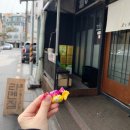 코이라멘 이미지