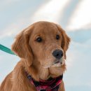 계절엔 동물의료센터 이미지