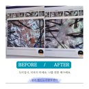 중봉대로 | 청라 두피관리 웰킨 9단계 검사 후기｜지루성두피염·각질 개선 체감한 산소스케일링 리얼리뷰