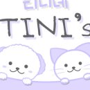 쏘스윗펫살롱 이미지