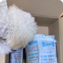 황금애견 이미지