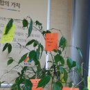 쿱스토어대구 - 달성군 테크노상업로 120 | 쿱스토어대구