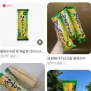 지지피 소프트 | 무안빵집 남악 하손과자점 기본, 흑후추, 초당옥수수크림소금빵 내돈내산 솔직후기