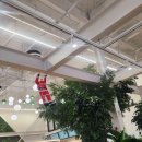 댕댕이 머리하는 날 이미지