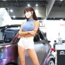 브로스오토
