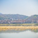 화랑초건너편 이미지