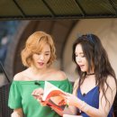 티앤북스 (TEANBOOKS) 이미지