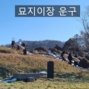 대성장묘 이미지