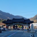 스테이 풍 | 배낭여행 같았던 별똥별 고양이 용문사 템플스테이와 추천 맛집