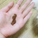 네츄럴트리트 이미지