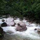 숫골계곡 Daum카페