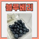 썬리지 이미지