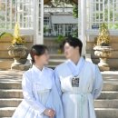 삼산웨딩공원 | 웨딩 한복 야외스냅 창경궁 후기 - 시노츠필름 무료 이벤트