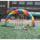 서울사대부설초등학교 발명영재단 발대식장식 이미지