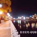 전망대민박 네이버블로그