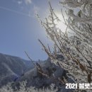 한라산방역