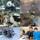 영온농장 이미지