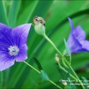 미르목 민박 이미지