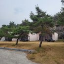 경주 글램핑 (토함산락펜션&amp;글램핑) 후기